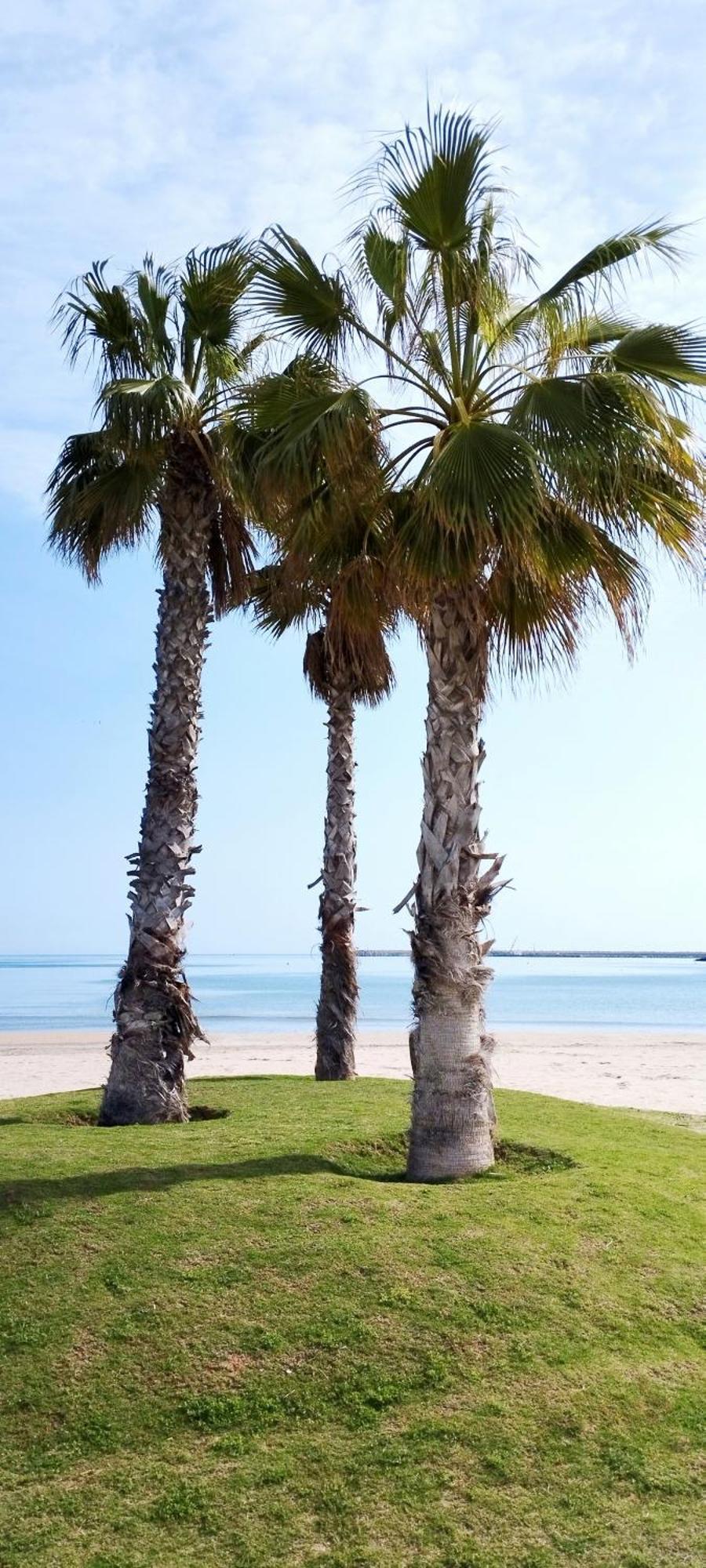 Beach House Marea Coral Melilla Exterior photo
